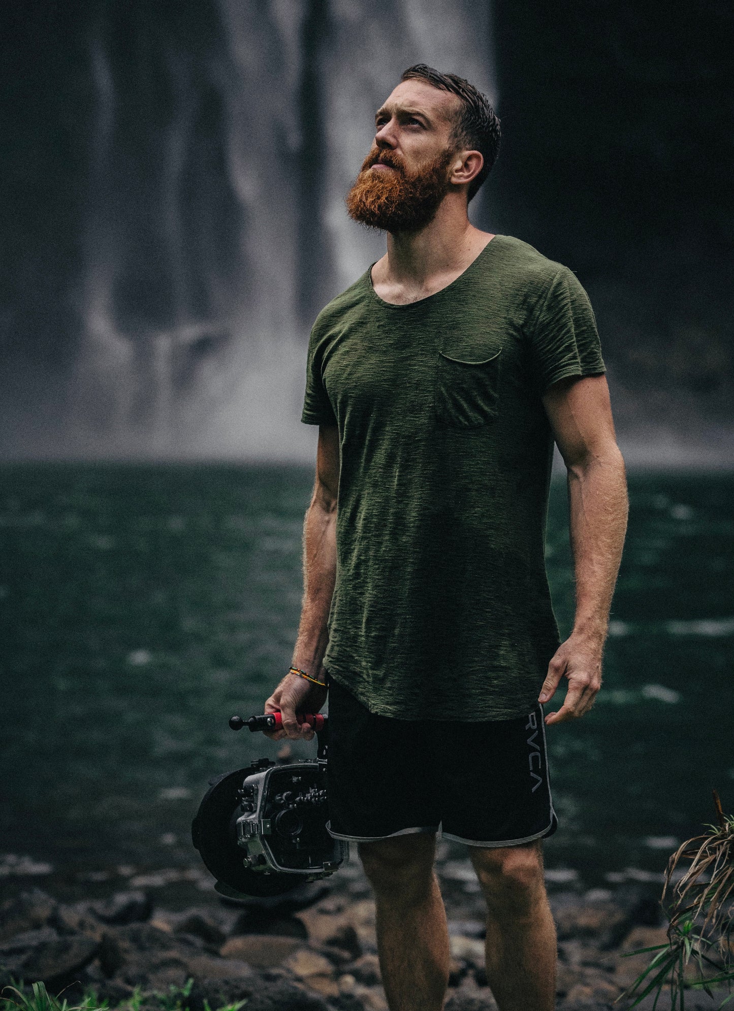 Beard oil