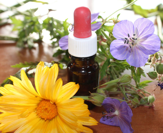 Self-Love Botanicals