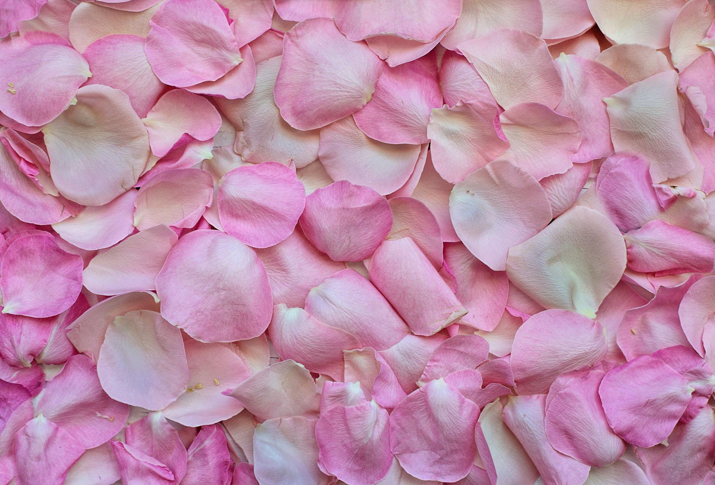 Self-Love Botanicals